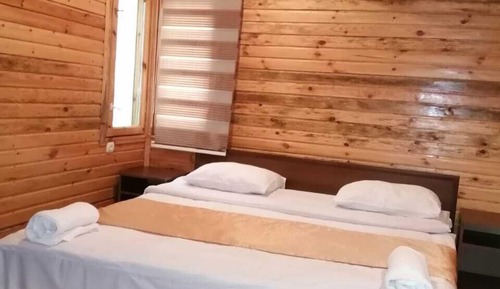 Standard Room, 1 Bedroom, Mountain View