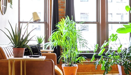 City Loft