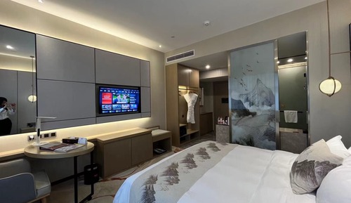 Deluxe one bed room