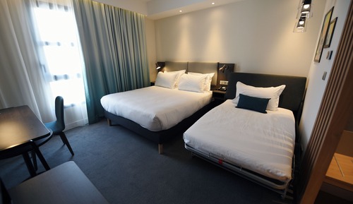 Standard Room, 1 Queen Bed with Sofa bed