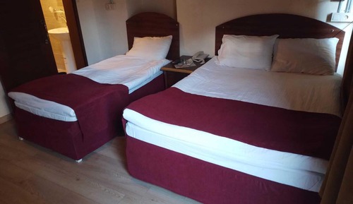 Family Twin Room