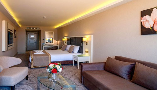 Superior Single Room