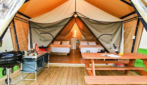 Room (Glamping Forest Room 2)
