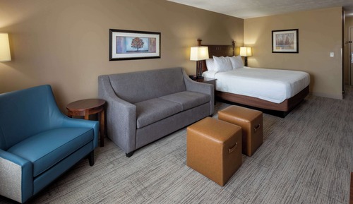 Deluxe Room, 1 King Bed