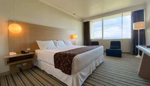 Standard Room, 1 King Bed, Non Smoking