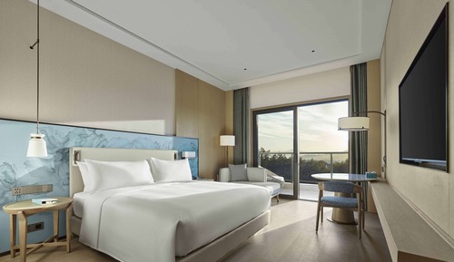 Deluxe Suite, 1 King Bed