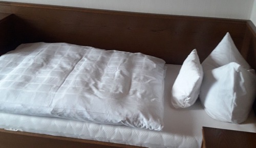Basic Single Room, Non Smoking, Mountain View