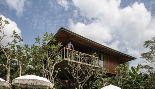 Treehouse C