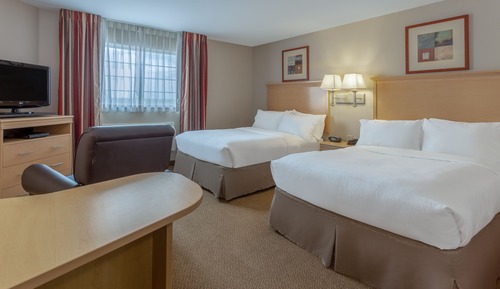Studio Suite, 2 Double Beds