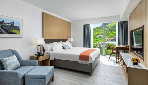Room, 1 King Bed, Accessible (Roll-In Shower)