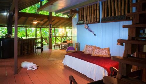 Design Tree House