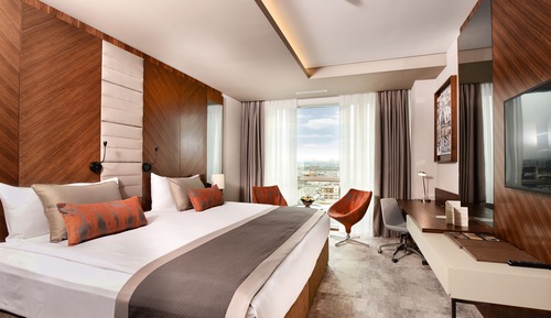 Executive Double or Twin Room