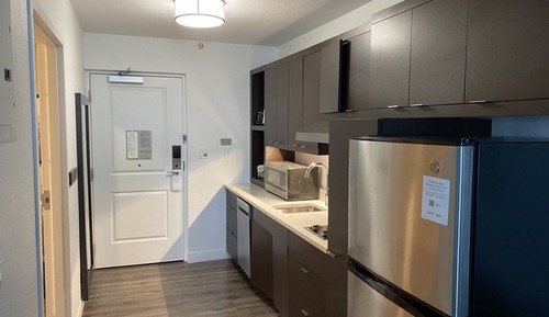 Studio, 1 King Bed with Sofa bed (Mobility/Hearing Accessible, Tub)