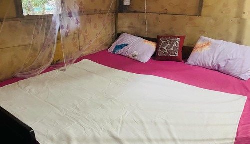Economy Single Room