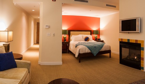 Koi Pond Studio Suite