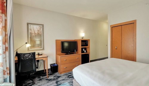 Room, 1 King Bed