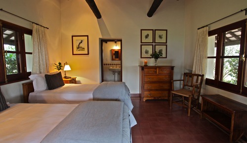 Standard Double Room, 2 Twin Beds