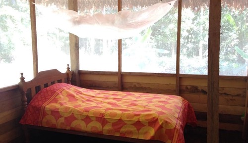 Room (Selva 1)