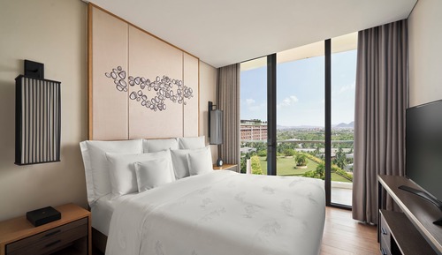Room, 1 Bedroom (Residence)