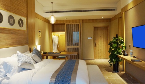 Deluxe Mountain View Room