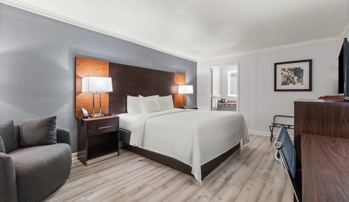 Room, 1 King Bed, Accessible, Non Smoking (Roll-In Shower)