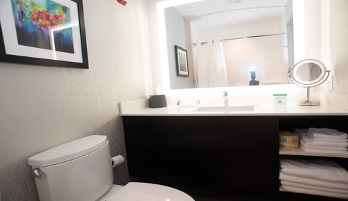 Suite, 1 King Bed, Accessible Bathtub (Mobility)