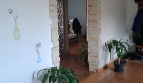 Apartment (Prizemi)