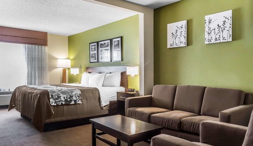 Suite, 1 King Bed with Sofa bed, Accessible, Non Smoking
