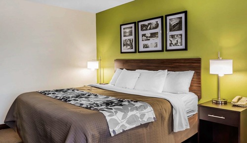Room, 1 King Bed, Accessible, Non Smoking