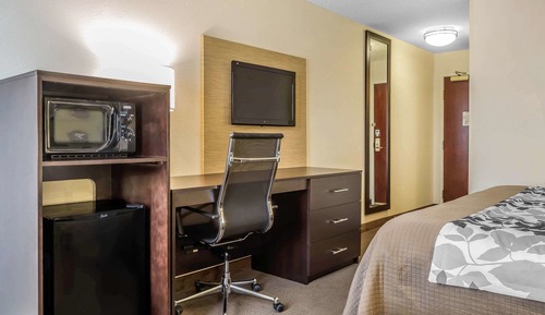Standard Room, 1 King Bed, Non Smoking