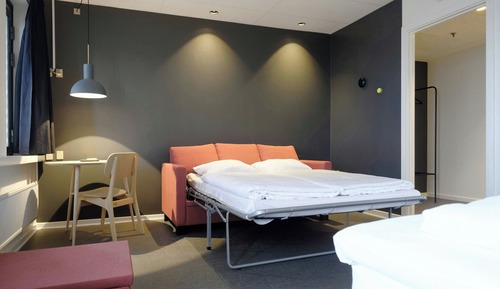 Family Room, 1 King Bed with Sofa bed