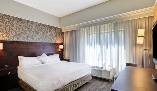 Room, 1 King Bed with Sofa bed (Mobility/Hearing Access, Roll-In Shwr)