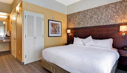 Room, 1 King Bed with Sofa bed