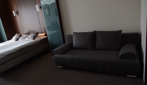 Junior Suite, Multiple Beds