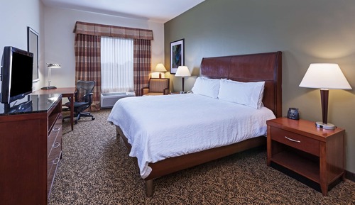 Room, 1 King Bed, Accessible