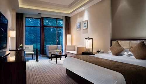 Executive Business King Room