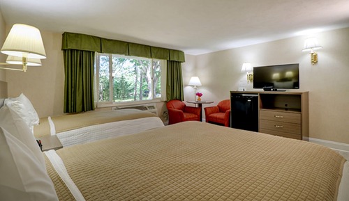 Room, 1 Queen Bed and 1 Twin Bed