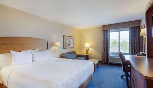 Deluxe Room, 1 King Bed, Non Smoking
