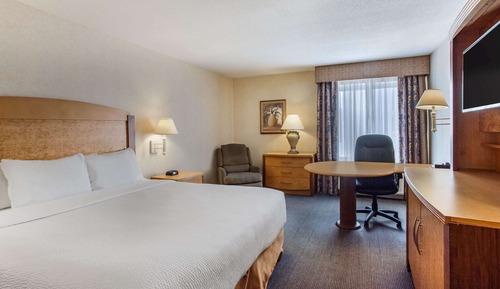 Room, 1 King Bed, Non Smoking