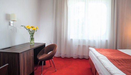 Standard Single Room, 1 Twin Bed