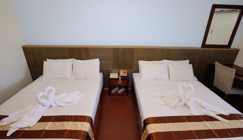 Standard Double Room (Jungle View)