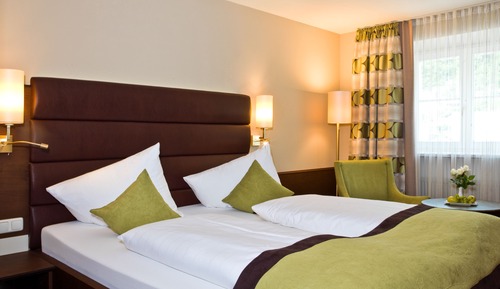 Standard Double Room, 1 Queen Bed