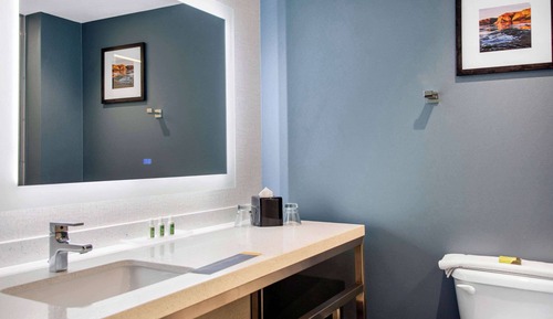 Room, 1 King Bed, Accessible (Roll-In Shower)