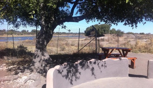 Tent, Shared Bathroom (Campsite-No bed provided.Bring tent)