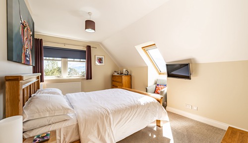 Deluxe Double Room, 1 King Bed, Mountain View