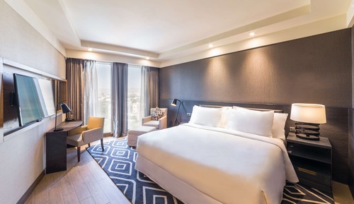 Executive Suite (Lounge Access)
