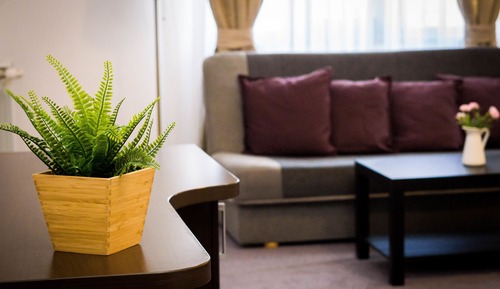Superior Studio Suite, 1 King Bed with Sofa bed, Garden View