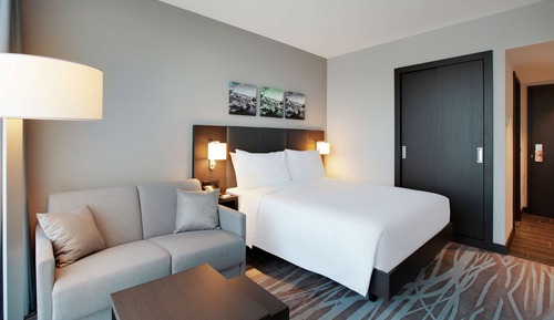 Room, 1 Queen Bed with Sofa bed
