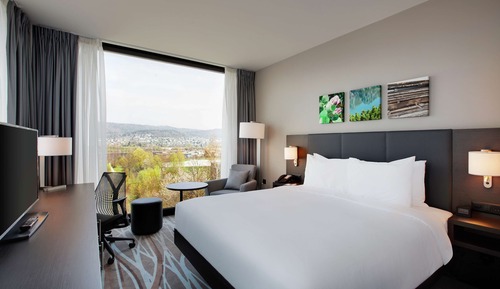 Room, 1 King Bed