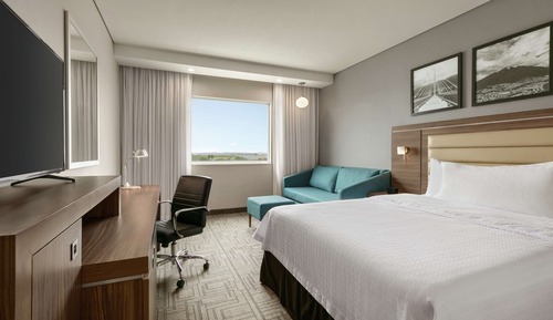 Suite, 1 King Bed, Refrigerator